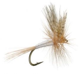 Cahill Dry Fly