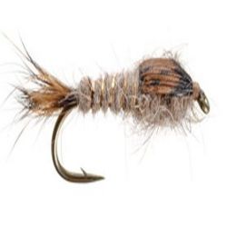 Gold Ribbed Hares Ear