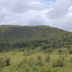 Graveyard Fields