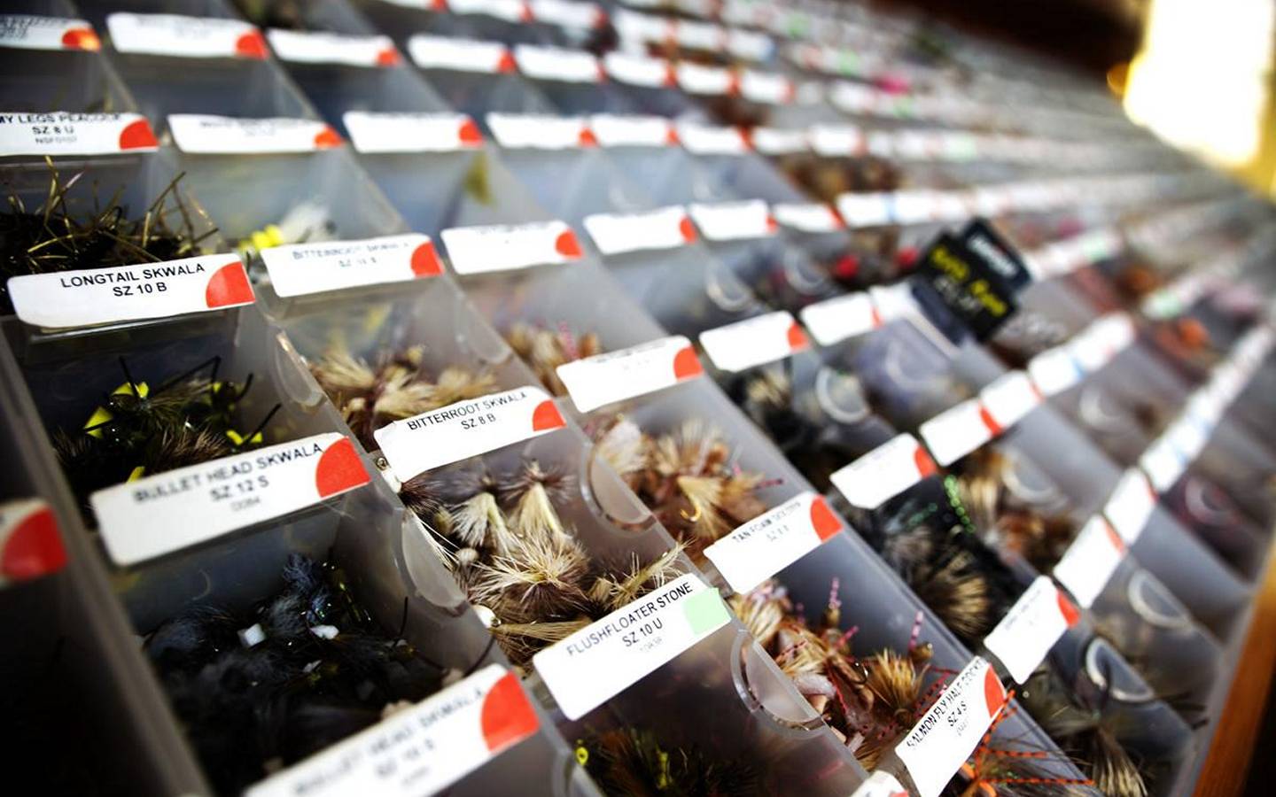 Virginia Fly Fishing Guides & Fly Fishing Stores